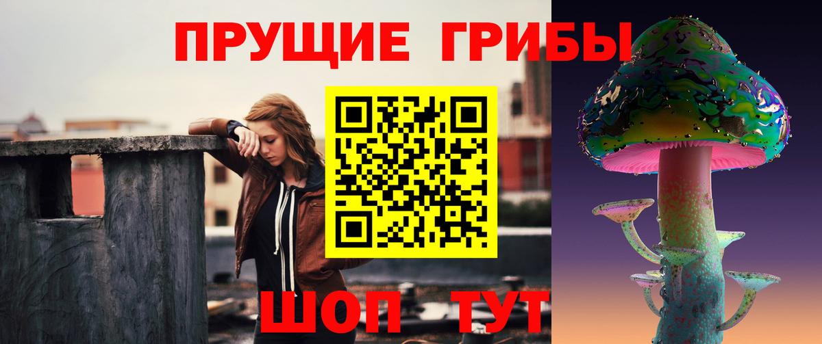 Псилоцибиновые грибы GOLDEN TEACHER  даркнет сайт  Азов  Галлюциногенные грибы ЛСД  Вход с VPN 